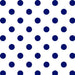 Dots & Stripes & More - per yard - Quilting Treasures - Medium Dot ZN - 28893 ZN-RebsFabStash