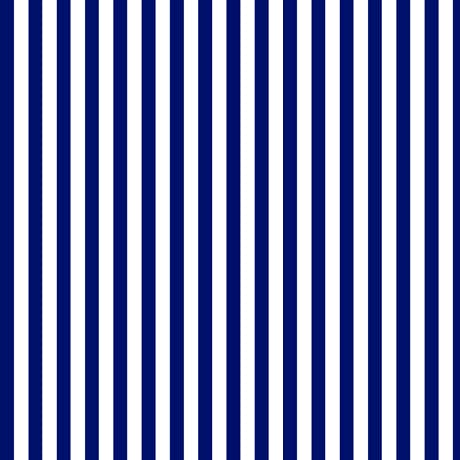 Dots Stripes & More- per yard- Quilting Treasures- Med Stripes N- 28898 N