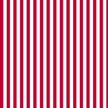 Dots Stripes & More - Per yard- Quilting Treasures- Med Stripes R- 28898 R