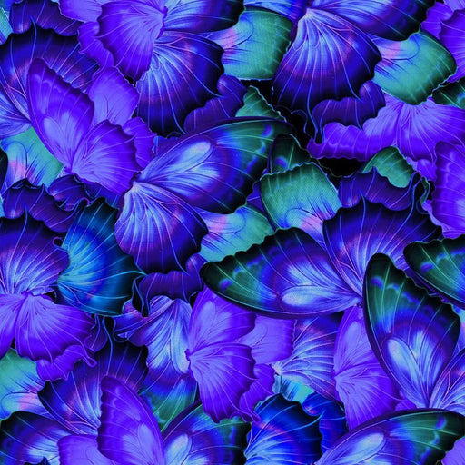 Cosmic Butterfly - Butterfly Wings - Purple - Per Yard - by Timeless Treasures - BUTTERFLY-CD1837