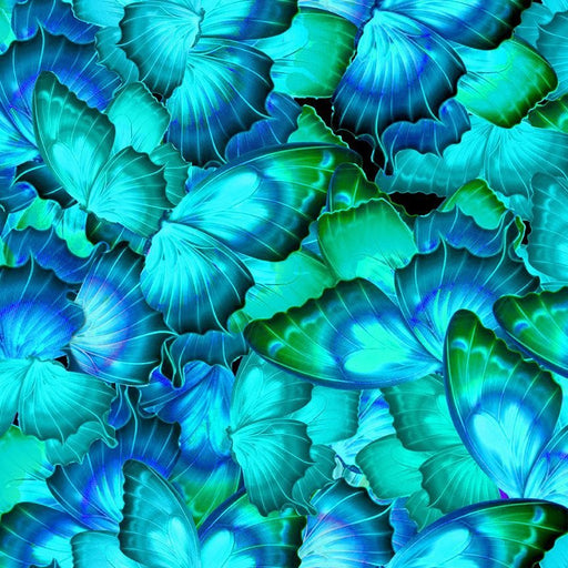 Cosmic Butterfly - Butterfly Wings - Turquoise - Per Yard - by Timeless Treasures - BUTTERFLY-CD1838