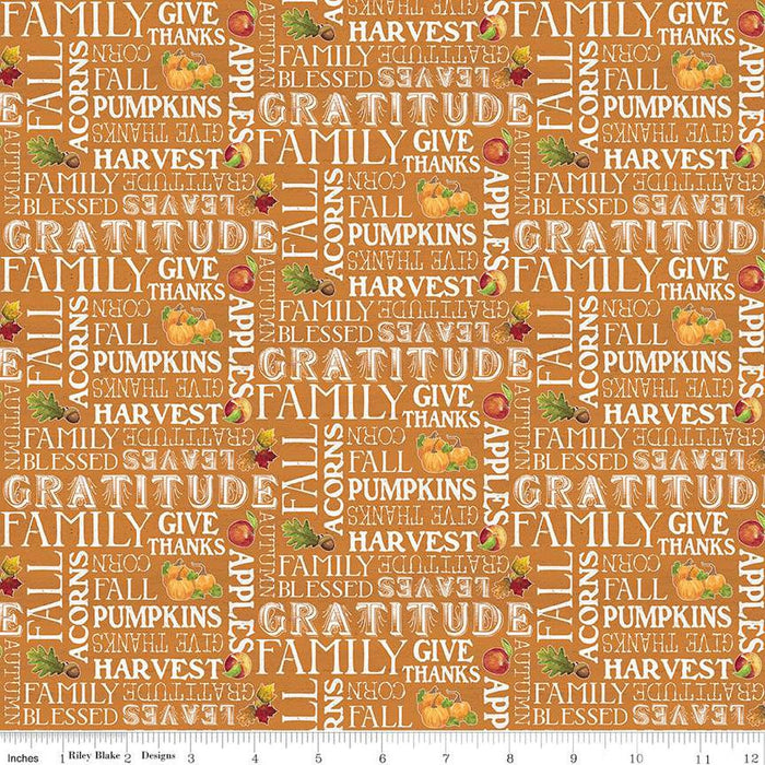 Monthly Placemats - November Text - per yard - by Tara Reed for Riley Blake Designs - Fall - C12421-Orange-RebsFabStash