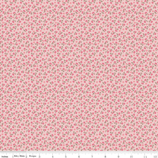 NEW! Home Town - Bodell Frosting - Per Yard - by Lori Holt of Bee in My Bonnet - Riley Blake Designs - C13594-FROSTING