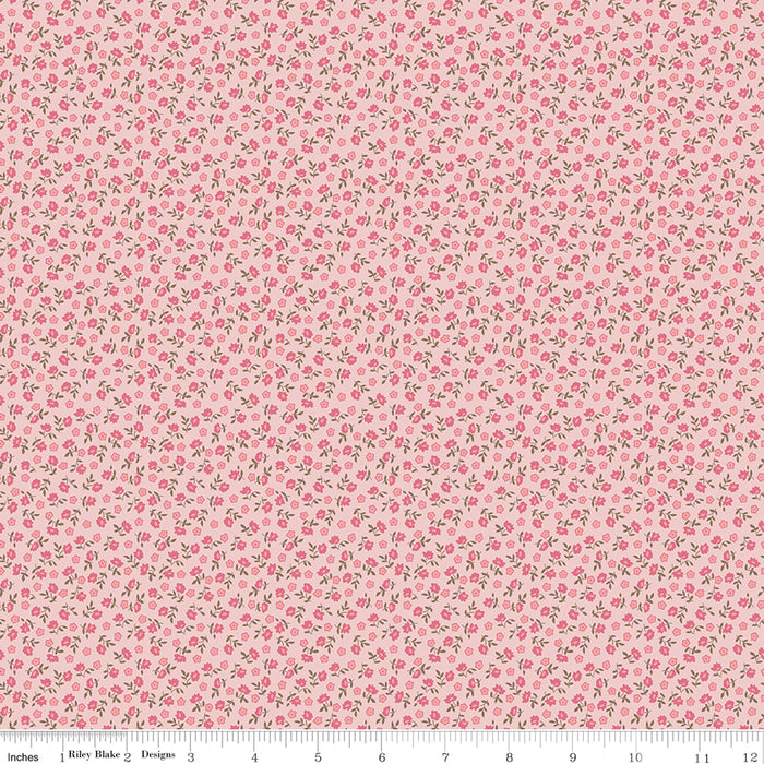 NEW! Home Town - Bodell Frosting - Per Yard - by Lori Holt of Bee in My Bonnet - Riley Blake Designs - C13594-FROSTING