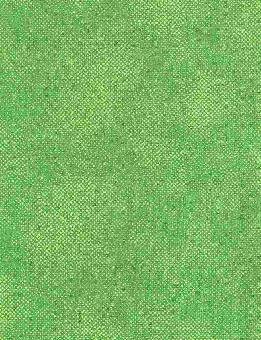 Screen Texture - Surface - Green- Per Yard - by Timeless Treasures - Tonal, Blender - SURFACE-C1000-GREEN-Yardage - on the bolt-RebsFabStash