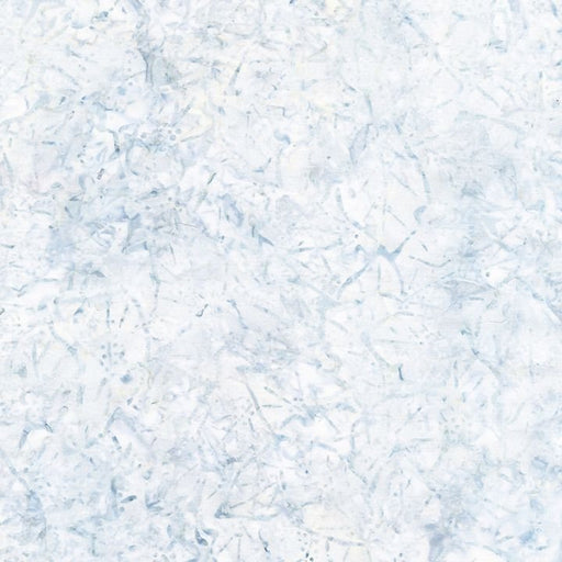 Tonga Batik - Leaves Silhouette - Ice - Per Yard - Timeless Treasures - Neutrals - TONGA-B1768 ICE