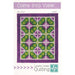 Come Into View Quilt KIT - pattern by Terri Vanden Bosch from Lizard Creek Quilting - uses Island Batiks fabrics - gorgeous purple and green quilt - RebsFabStash