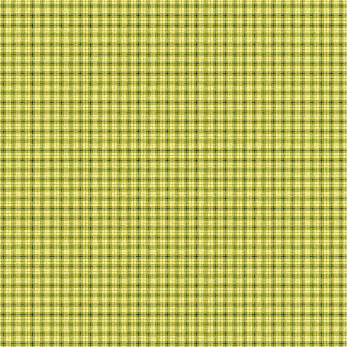 NEW! Autumn in the Air - Painted Plaid - Per Yard - by Patrick Lose for Northcott - Green - 10168-74