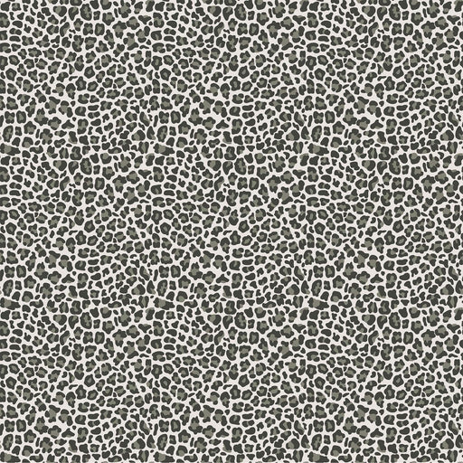 NEW! Baby Safari - Leopard Print - Per Yard - by Deborah Edwards for Northcott - Gray - 24676-93-Yardage - on the bolt-RebsFabStash