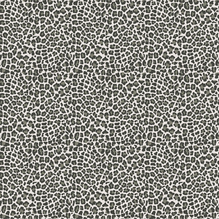 NEW! Baby Safari - Leopard Print - Per Yard - by Deborah Edwards for Northcott - Gray - 24676-93-Yardage - on the bolt-RebsFabStash