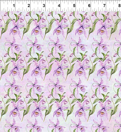 Botanical, Orchid, In The Beginning, Jason Yenter, Floral