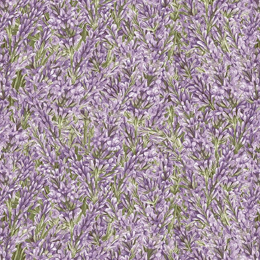 NEW! Lavender Garden - Packed Lavender - Per Yard - by Jane Shasky for Henry Glass - Lavender - 9873-56-Yardage - on the bolt-RebsFabStash