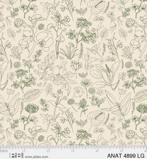 NEW! - Au Naturel - Field of Flowers Light Green - Per Yard - by Jacqueline Schmidt for P&B Textiles - ANAT-04899-LG-Yardage - on the bolt-RebsFabStash
