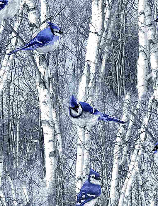 Winter Frost - Winter Chickadees - Per Yard - by Timeless Treasures - Blue - BIRD C7850