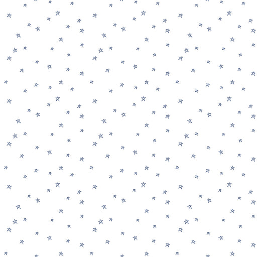 NEW! Bee Plaids - Farmhouse Star - Per Yard - Lori Holt - Bee in my Bonnet - Riley Blake - Basics - C12039-Denim-Yardage - on the bolt-RebsFabStash