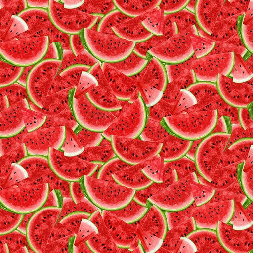 Watermelon Party - Packed Watermelon Slices - per yard- Timeless Treasures - Fruit, Watermelon, Gnomes - FRUIT-CD1922-MULTI-Yardage - on the bolt-RebsFabStash