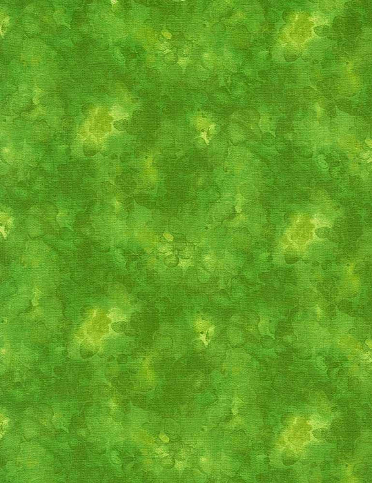 Watermelon Party - Solid-ish Watercolor Texture - per yard - Timeless Treasures - Fruit, Watermelon, Gnomes - KIM-C6100-LIME