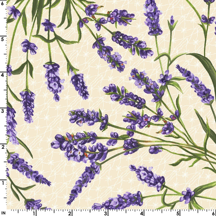 NEW! Lavender Sachet - Lavender All Over - Per Yard - by Maywood Studio - Floral - Ecru - MASD10041-E
