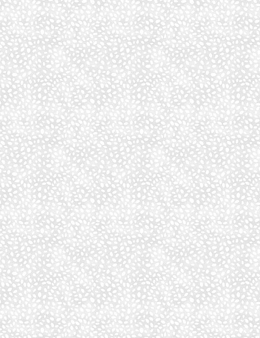 Pebbled Dot Texture - GREY - Basic - per yard- Timeless Treasures - tonal blender- WILD-C1188-GREY-Yardage - on the bolt-RebsFabStash