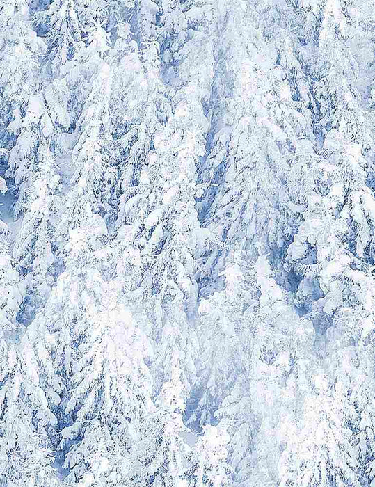 Winter Frost - Snowy Forest PANEL - Per Panel - by Timeless Treasures - 24" x 43" panel - Blue - PANEL C8609