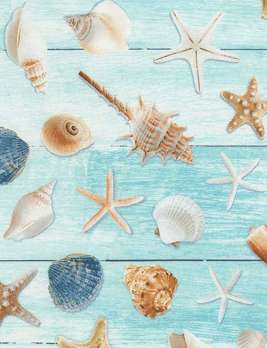 Beach Day - Beachy Words on Wood - per yard- Timeless Treasures - Sayings, Seashells - BEACH-C8459 MULTI - RebsFabStash
