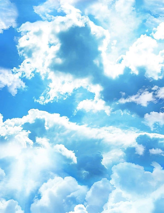 Beach Day - Clouds in Sky - per yard- Timeless Treasures - Cloudy, Blender - SKY-C8463 BLUE - RebsFabStash