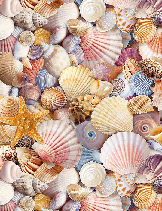 Beach Day - Take Me To The Beach - Border Stripe - 11" stripe - per yard- Timeless Treasures - Shells, Ocean, Nature - BEACH-C6745 BLUE - RebsFabStash