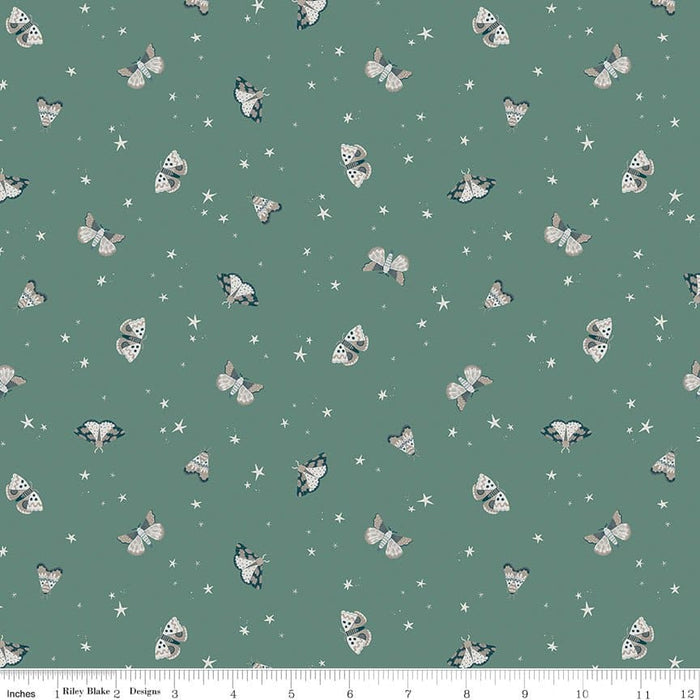 Camp Woodland - Grizzly Bears - Off White - per yard - by Natàlia Juan Abelló - for Riley Blake - Outdoors, Woods, Camping, Wildlife - C10461-OFFWHITE - RebsFabStash