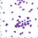 Catalina Ultraviolet - per yard - Petals on White - Maywood Studio - Marti Mitchell - RebsFabStash