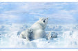 Cuddle Soft - digital print - per panel - Hoffman Floral Digital Print! Shannon Cuddle - Polar Bear and baby bears! - RebsFabStash