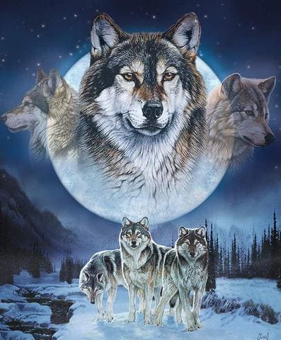 Dream Catcher Quilt Kit - BOX KIT - by Riley Blake Designs - Wolf, Wolves, Nature, Wildlife - KTB-23025 - RebsFabStash