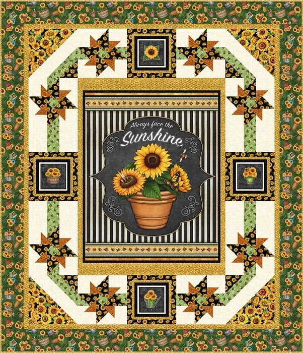 EXCLUSIVE! Sunshine & Pinwheels Quilt Kit - Always Face the Sunshine fabrics - Dan Morris for QT Fabrics - pattern by Pine Tree Country Quilts - RebsFabStash