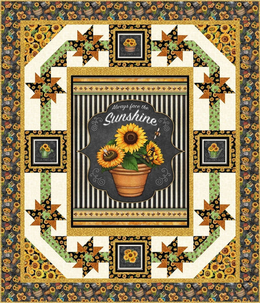 EXCLUSIVE! Sunshine & Pinwheels Quilt KIT - Always Face the Sunshine fabrics - Dan Morris for QT Fabrics - pattern by Pine Tree Country Quilts - RebsFabStash