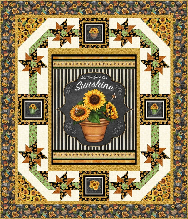 EXCLUSIVE! Sunshine & Pinwheels Quilt KIT - Always Face the Sunshine fabrics - Dan Morris for QT Fabrics - pattern by Pine Tree Country Quilts - RebsFabStash