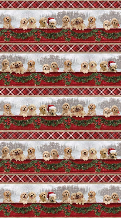 Memory Lane - Puppies Stripe Pattern - by Karen Schindler - The Fabric Addict - by Northcott - RebsFabStash