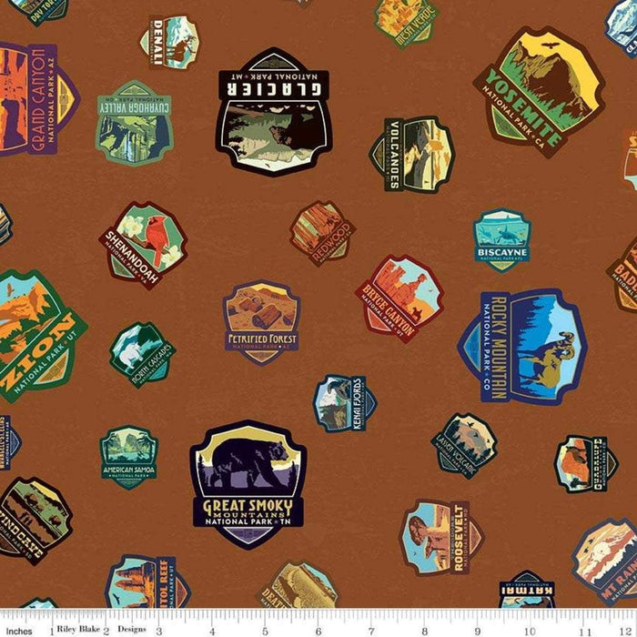 National Parks Collection - PANEL - per yard - Riley Blake Designs - Digital Print Panel 36" Capitol Reef - Cathedral Valley - RebsFabStash
