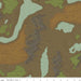 National Parks Collection - PANEL - per yard - Riley Blake Designs - Digital Print Panel 36" - Hot Springs P9154 - RebsFabStash