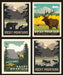 National Parks Collection - per yard - Riley Blake Designs - National Park MAP - GREEN C8781 - RebsFabStash