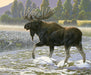 Nature's Finest - per PANEL - Riley Blake Designs - 36" Battlefield Deer Panel - P9953-DEER - RebsFabStash