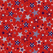 NEW! American Style - Ribbon - Per Yard - by Chelsea Designworks for Studio E - Patriotic, Flag - White - 5491 1 - RebsFabStash