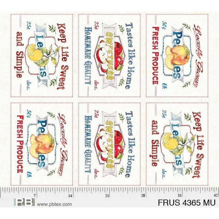 NEW! Fruit Stand Placemats - per PANEL - by by Anne Tavoletti for P&B Textiles - 34 1/2"X44" panel - 6 12"X16" placemats per panel - RebsFabStash