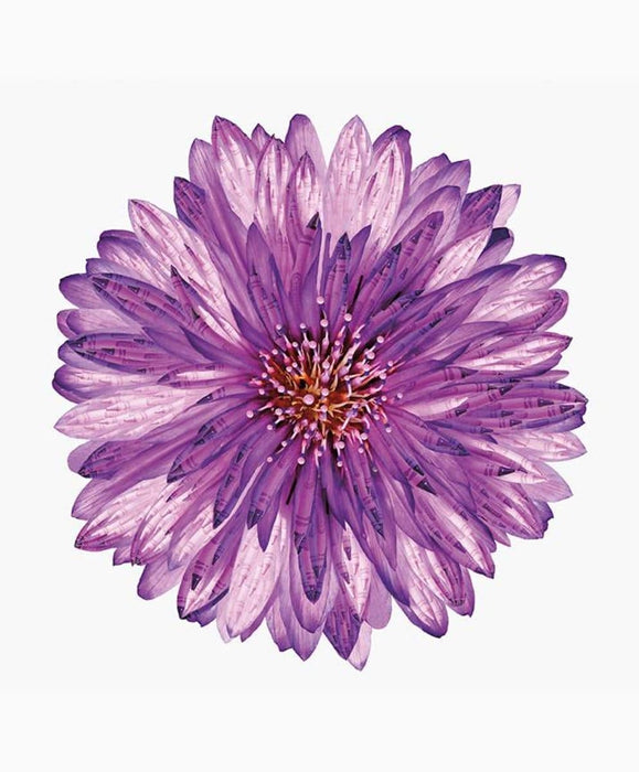 NEW! It's a Crayola World - per PANEL - Riley Blake Designs - 36" Digital Flower Panel - P10174-FLOWER - RebsFabStash