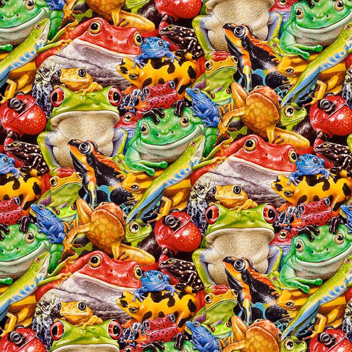 NEW! Jewels of the Jungle - Rainbow Frog - Per Yard - by Lori Anzalone for Studio e - Digital, Frogs - White - 5558-9 - RebsFabStash