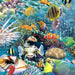 NEW! Ocean Reef - PROMO Fat Quarter Bundle (10 + 2 Panels) - Variety Bundle! - Fish, Ocean, Bright Colors! - RebsFabStash