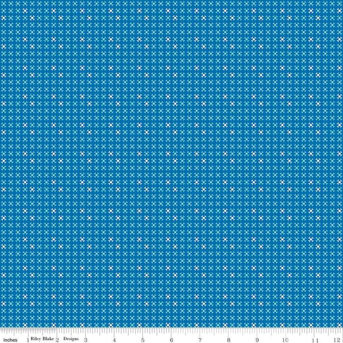 Blue Oh Happy Day! Fabric by Sandy Gervais Riley Blake Design at RebsFabStash