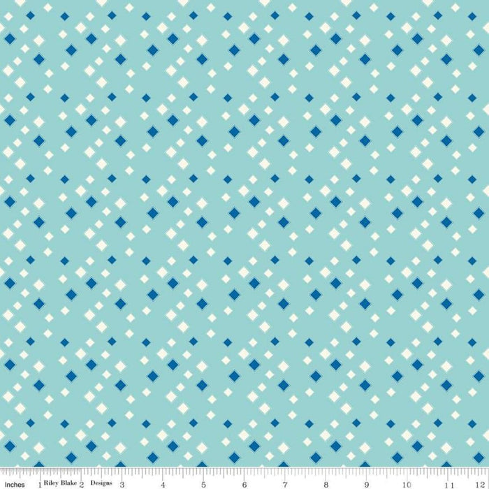 Blue Oh Happy Day! Fabric by Sandy Gervais Riley Blake Design at RebsFabStash