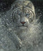 NEW! On Safari - per PANEL - Riley Blake Designs - 36" Digital Lion Panel - P10451-LION - RebsFabStash