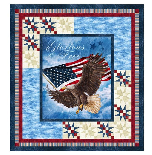 New! Soaring to Be... - Quilt Pattern - by Bound To Be Quilting - Pat Syta & Mimi Hollenbaugh - RebsFabStash
