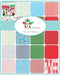 New! The North Pole Sampler - Quilt Pattern - by Stacy Iest-Hsu - MODA - Quilting/Sewing Fabric - Christmas - RebsFabStash