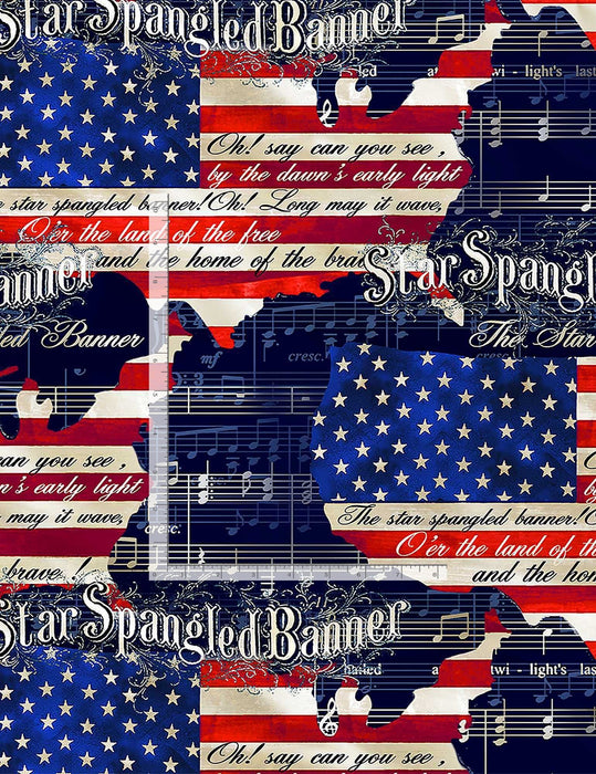 New! We The People - per PANEL! - 24" x 43" PANEL - Timeless Treasures - Land of the Free - Constitution, Eagle, Flag - C8317 Multi - RebsFabStash